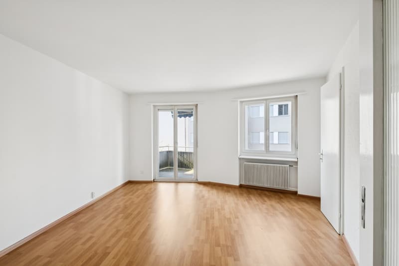 Renovated one-room apartment (3)