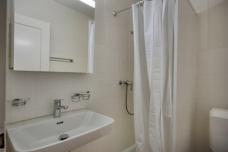 Schmiede Wiedikon / Minimum rental period 6 months! (10)