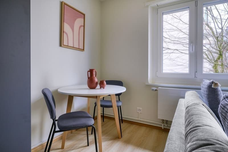 Schmiede Wiedikon / Minimum rental period 6 months! (3)