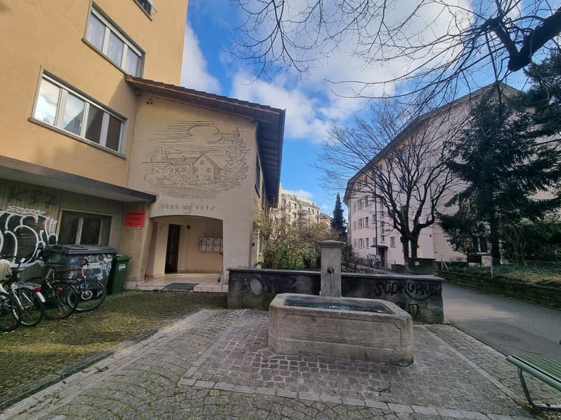 Schmiede Wiedikon / Minimum rental period 6 months! (4)