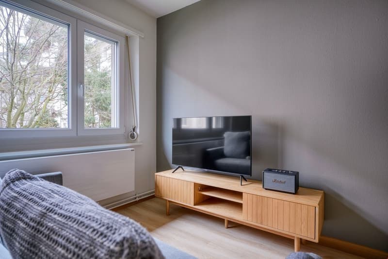 Schmiede Wiedikon / Minimum rental period 6 months! (7)