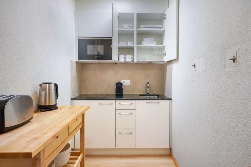 Schmiede Wiedikon / Minimum rental period 6 months! (9)