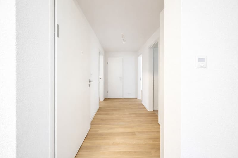 Top newly renovated property (6)