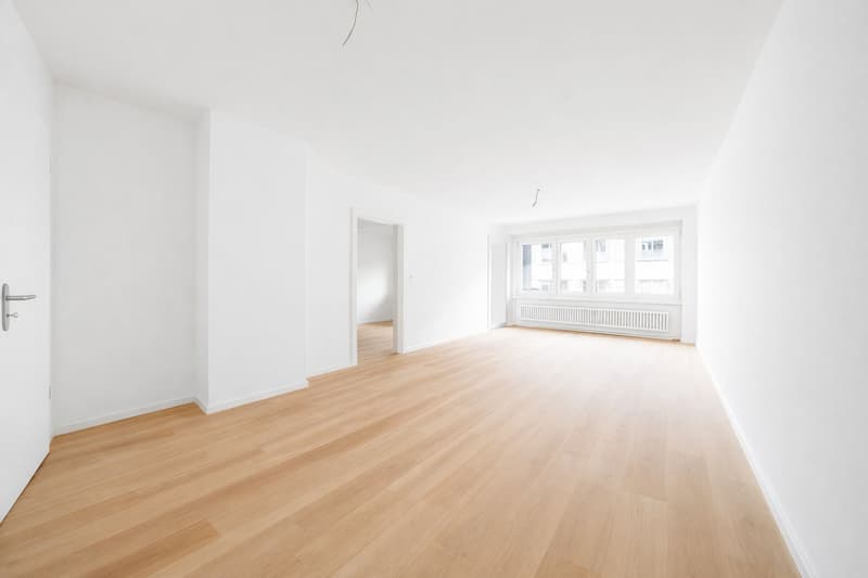 Top newly renovated property (7)