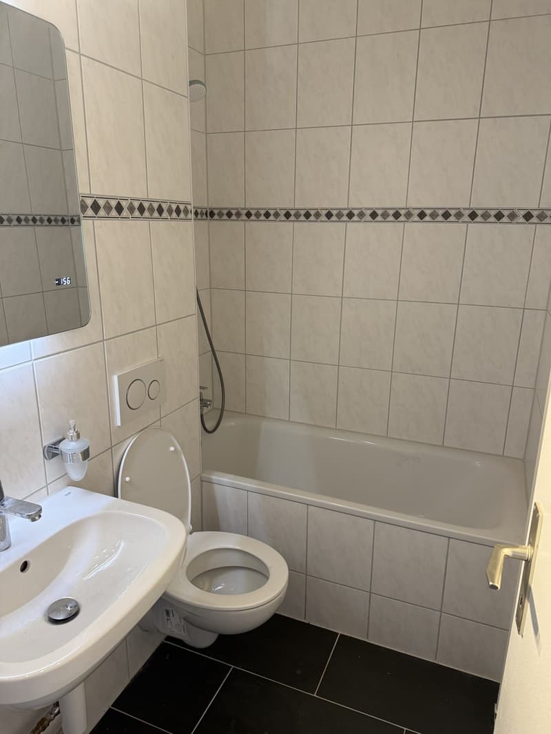 Wohnung 2 ½ Zimmer, 1007 Lausanne (6)