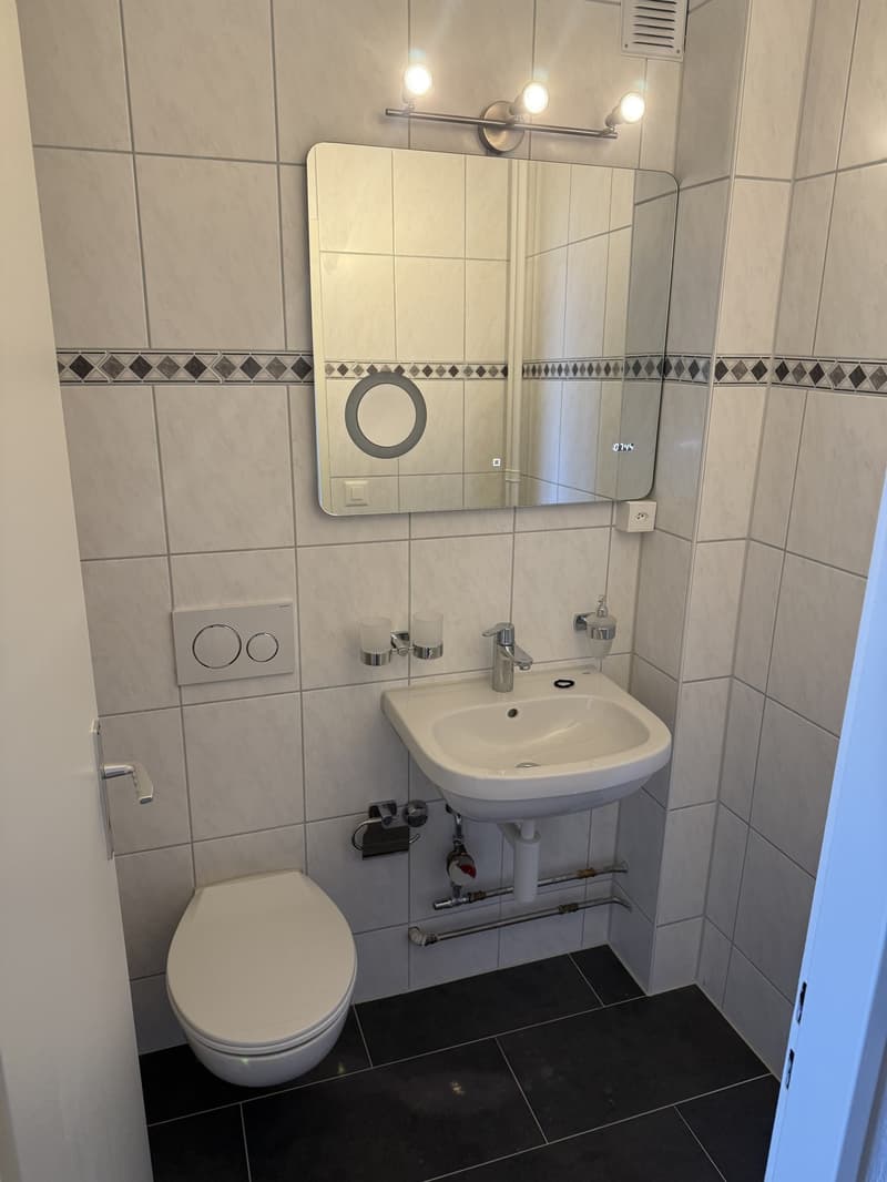 Wohnung 2 ½ Zimmer, 1007 Lausanne (5)