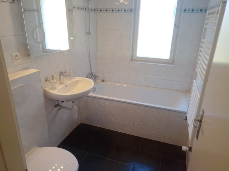 Appartement renové endroit calme et joli à louer (4)