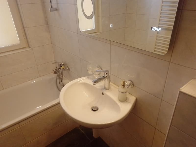 Appartement renové endroit calme et joli à louer (3)