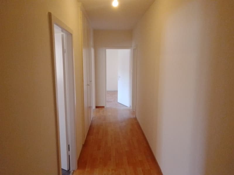 Appartement renové endroit calme et joli à louer (5)