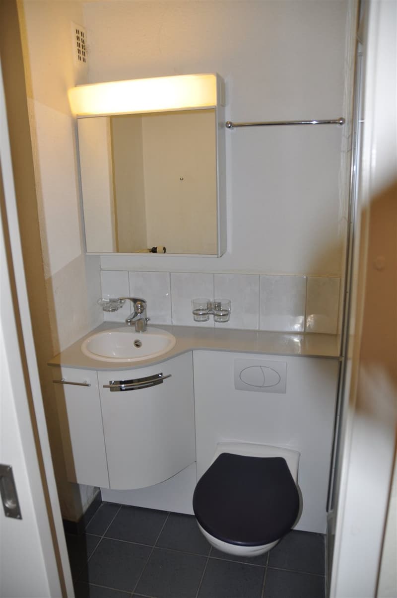 Appartement attractif, magnifique (4)