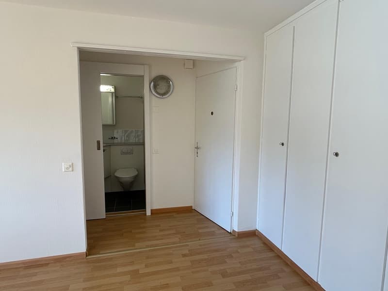 Appartement attractif, magnifique (9)