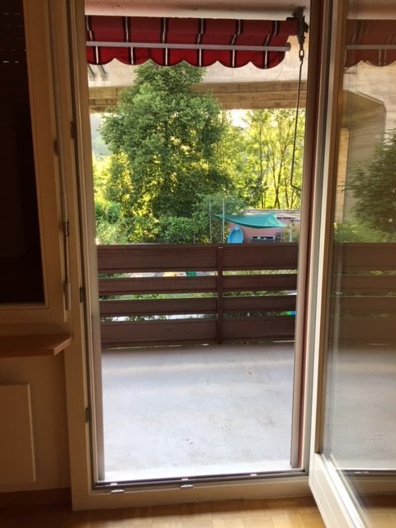 Appartamento bellissimo nel centro di Berna (7)