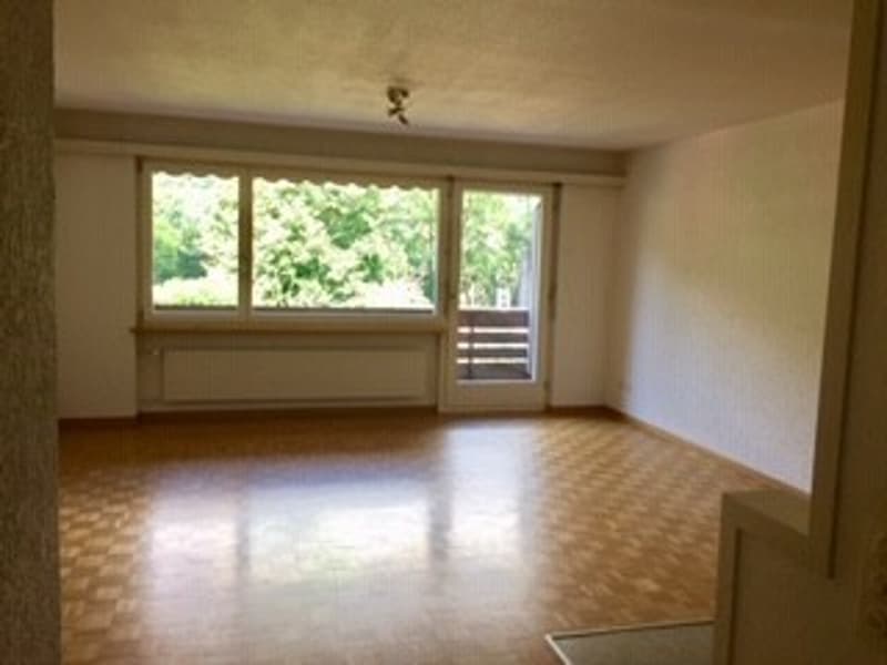 Appartamento bellissimo nel centro di Berna (6)
