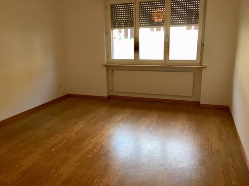 Appartamento bellissimo nel centro di Berna (5)