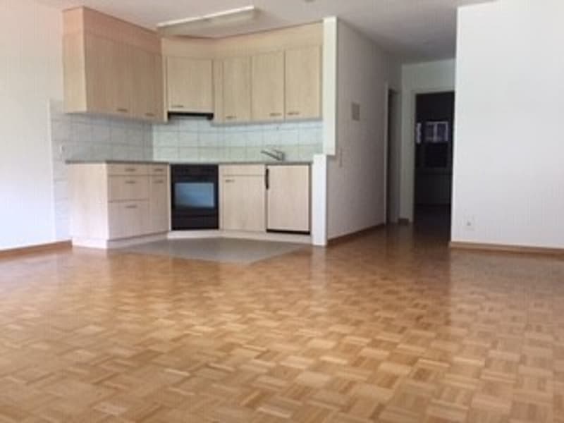 Appartamento bellissimo nel centro di Berna (2)