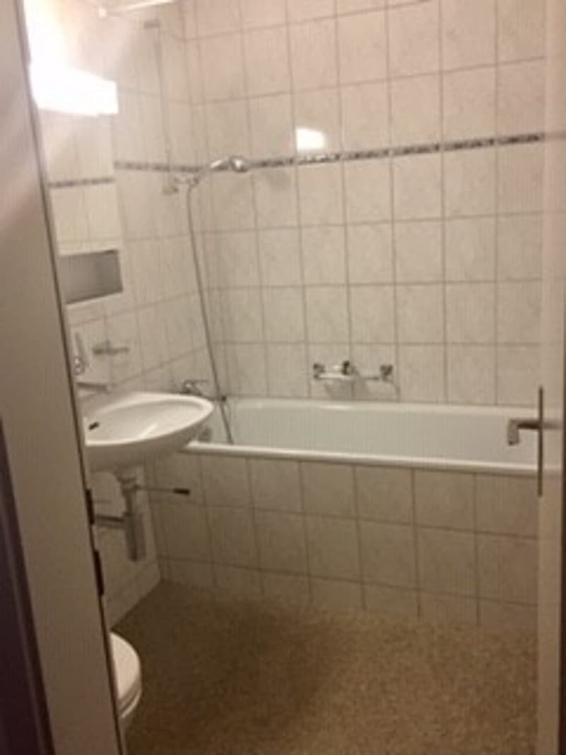 Appartamento bellissimo nel centro di Berna (4)