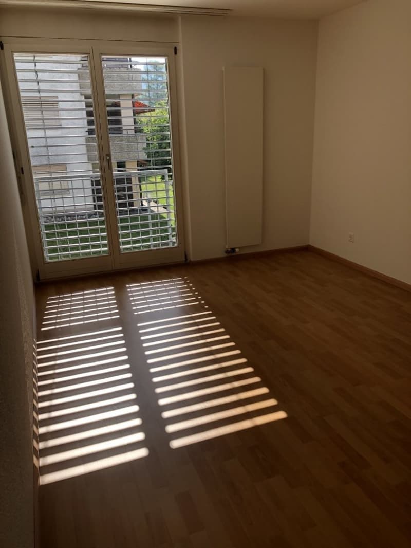 Ampio appartamento luminoso con balcone - situato in centro e nel verde (7)