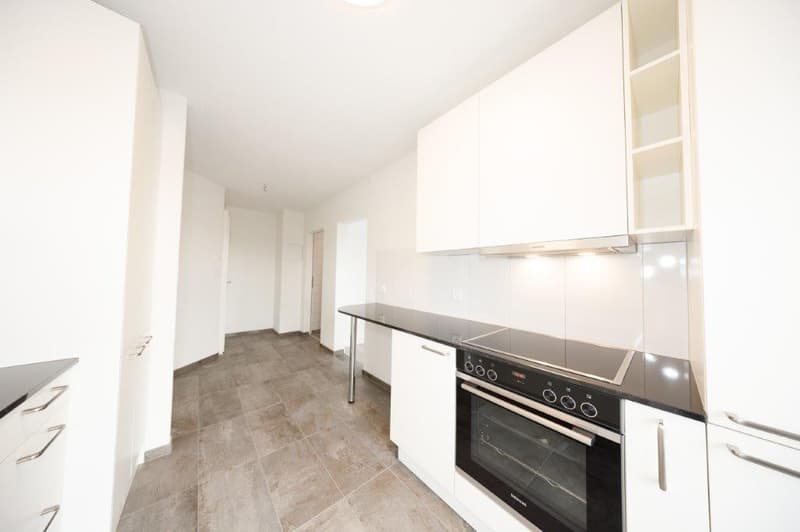 Votre maison de rêve vous attend ! Complex immobilier neuf spacieux à louer (1)
