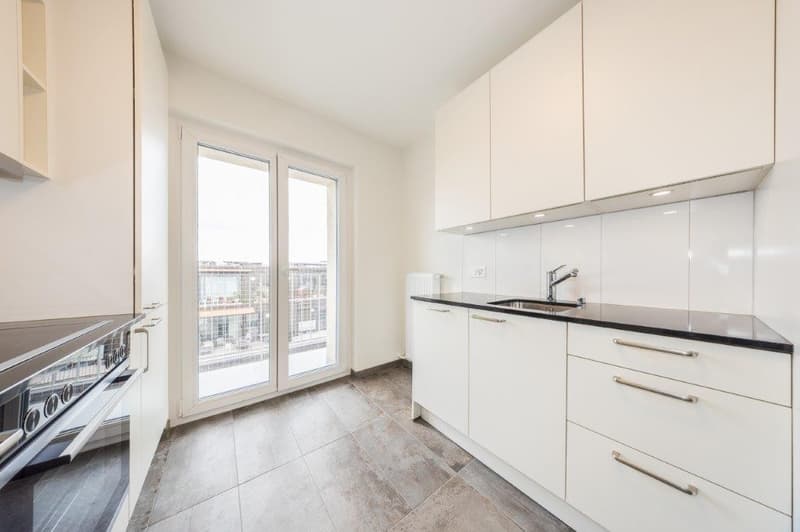 Votre maison de rêve vous attend ! Complex immobilier neuf spacieux à louer (4)