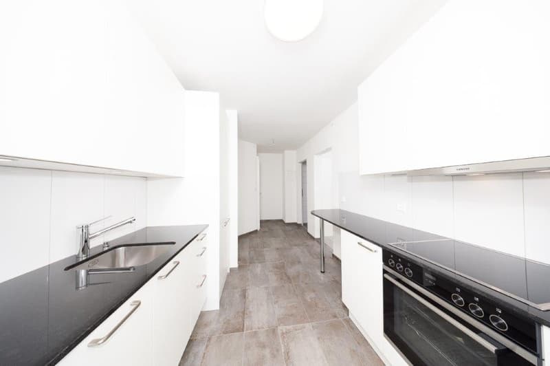 Votre maison de rêve vous attend ! Complex immobilier neuf spacieux à louer (2)