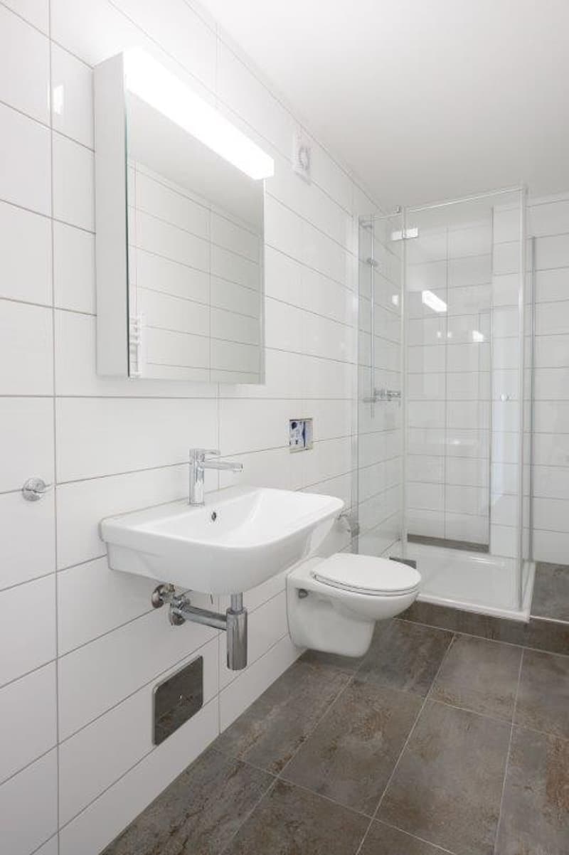 Votre maison de rêve vous attend ! Complex immobilier neuf spacieux à louer (7)