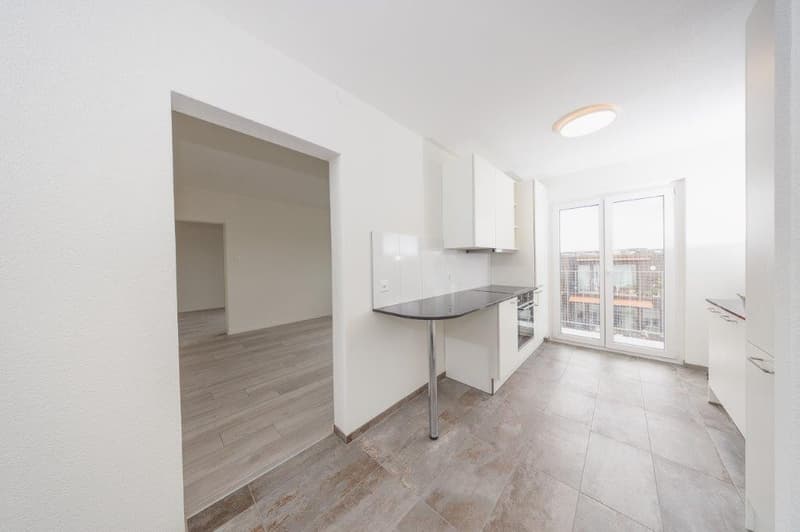 Votre maison de rêve vous attend ! Complex immobilier neuf spacieux à louer (5)