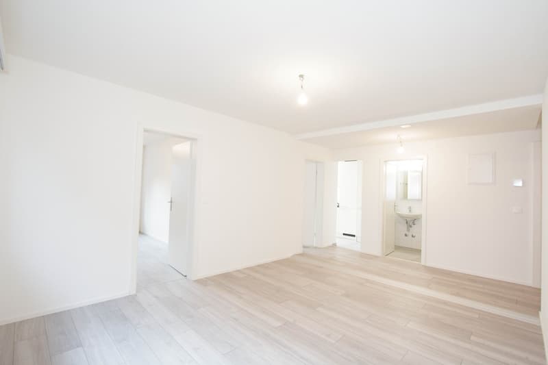 Appartamento moderno da sogno (2)