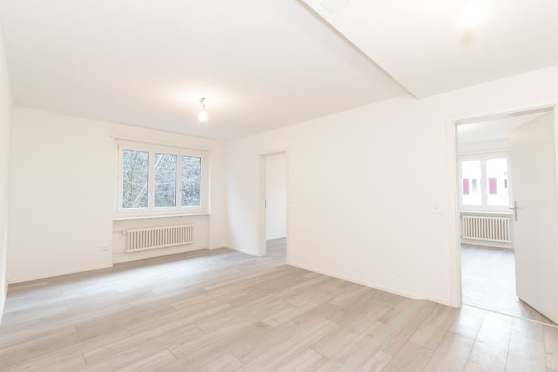 Appartamento moderno da sogno (3)