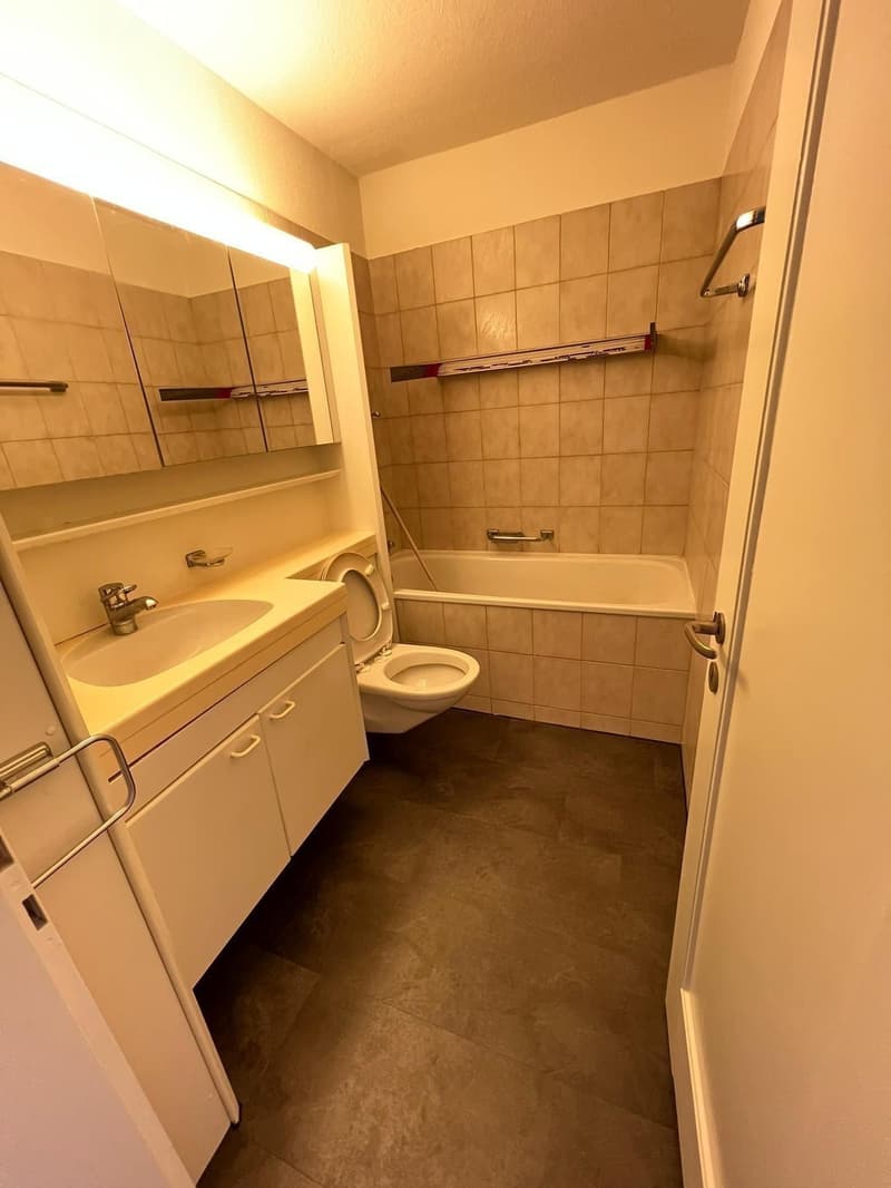 Helle 2.5-Zimmer-Wohnung im Grünen  stadtnah & ruhig in Zürich (5)