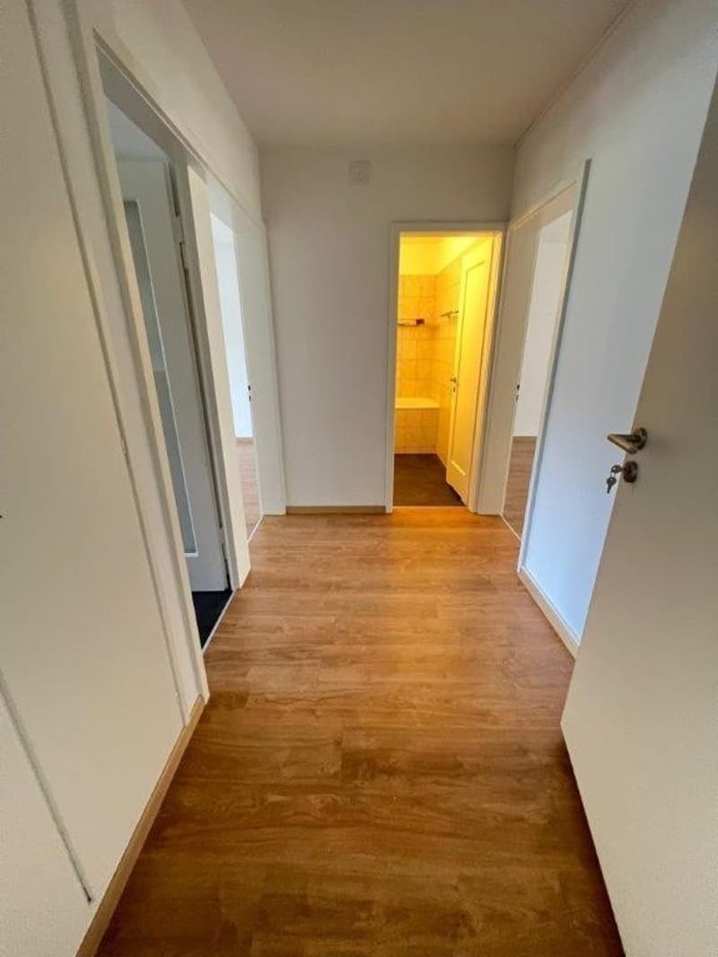 Helle 2.5-Zimmer-Wohnung im Grünen  stadtnah & ruhig in Zürich (4)