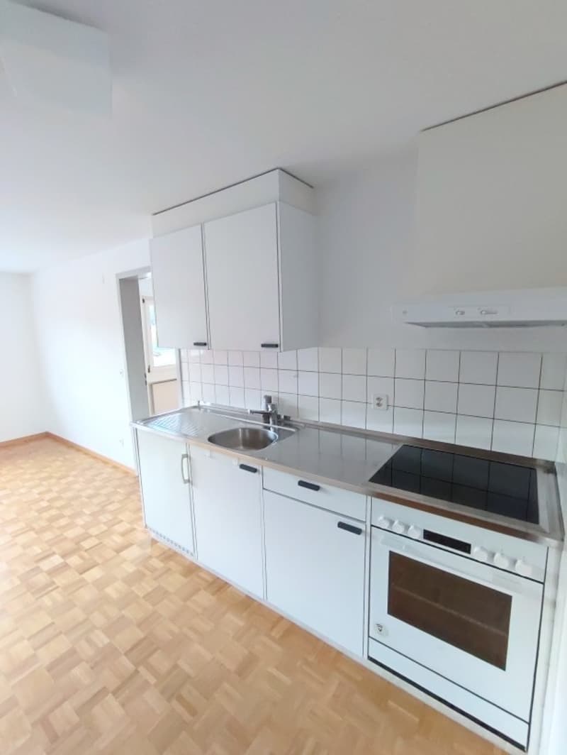 Freundliche Wohnung mit grüner Umgebung an sehr ruhiger Lage! (4)