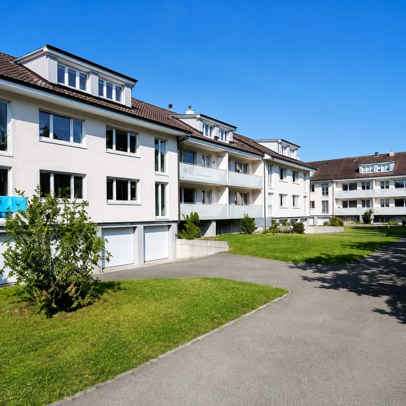 Bel appartement de 3 pièces avec jardin au cœur de Reinach BL (2)