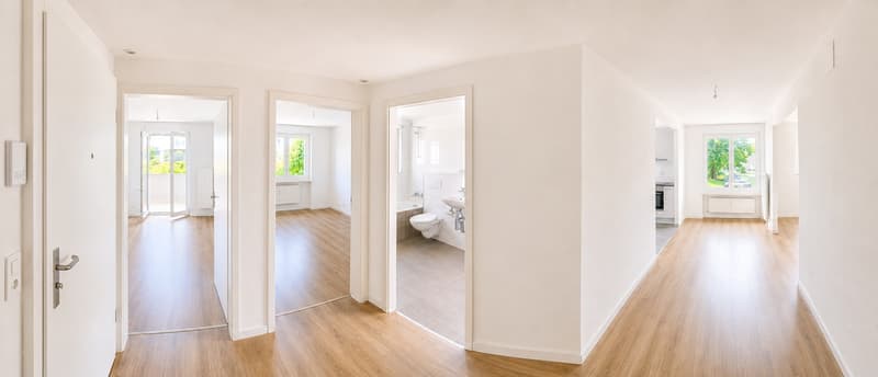 Bel appartement de 3 pièces avec jardin au cœur de Reinach BL (11)