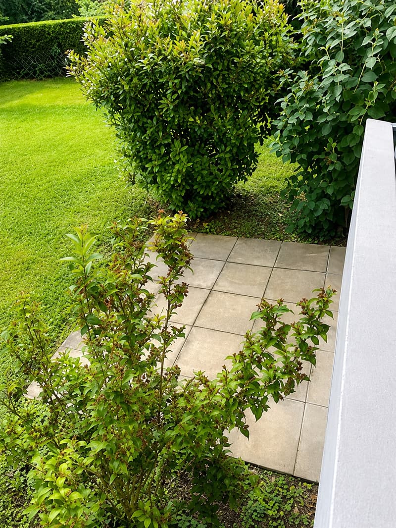 Bel appartement de 3 pièces avec jardin au cœur de Reinach BL (7)