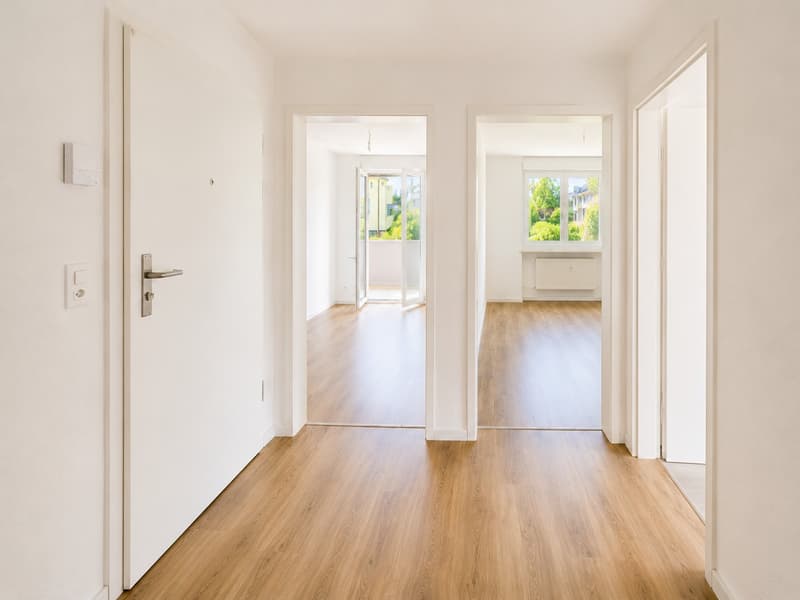 Bel appartement de 3 pièces avec jardin au cœur de Reinach BL (3)