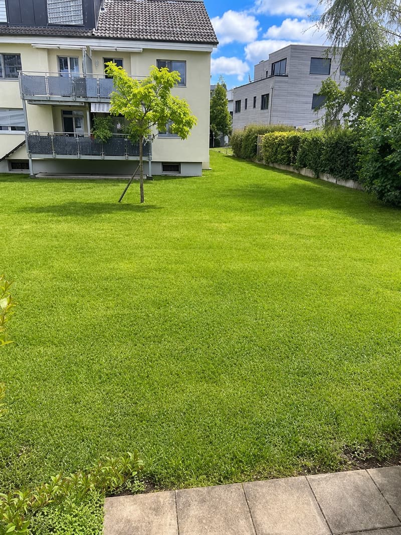 Bel appartement de 3 pièces avec jardin au cœur de Reinach BL (10)