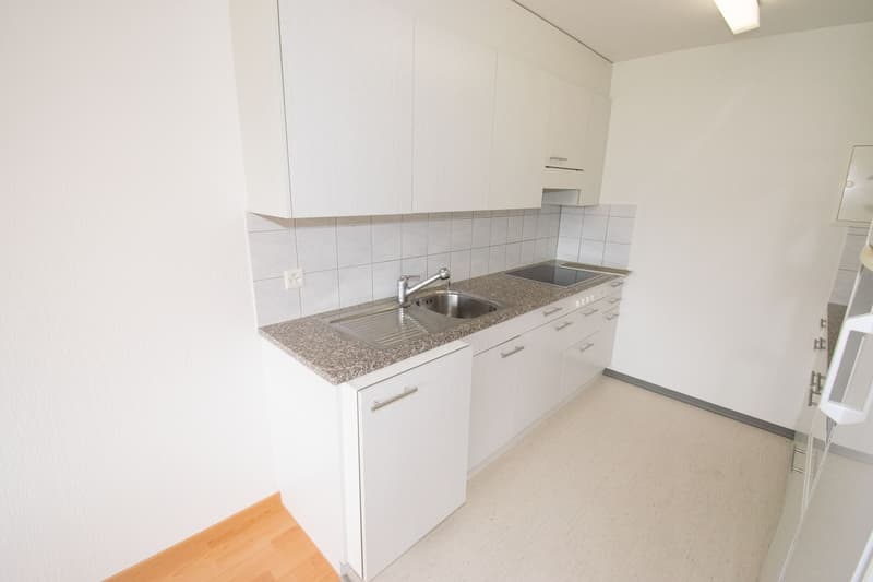 Generous at central and yet quiet location with wide green spaces (4)