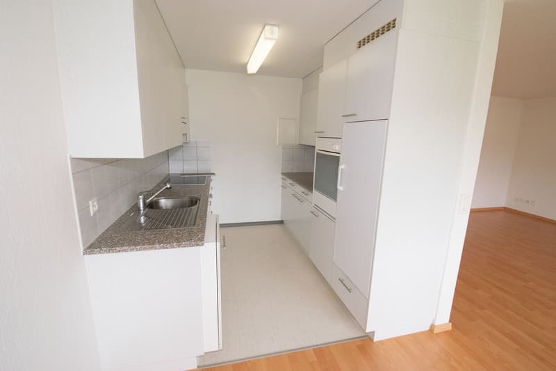 Generous at central and yet quiet location with wide green spaces (5)