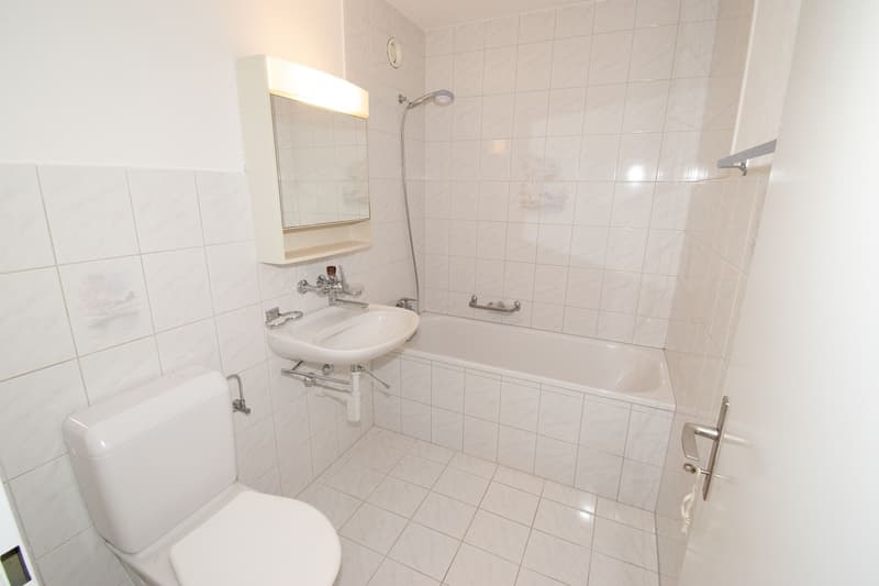 Generous at central and yet quiet location with wide green spaces (13)
