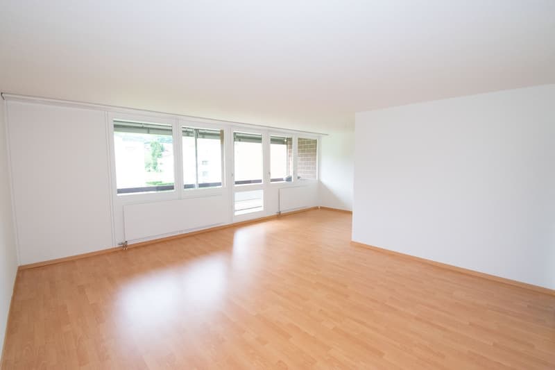 Generous at central and yet quiet location with wide green spaces (7)