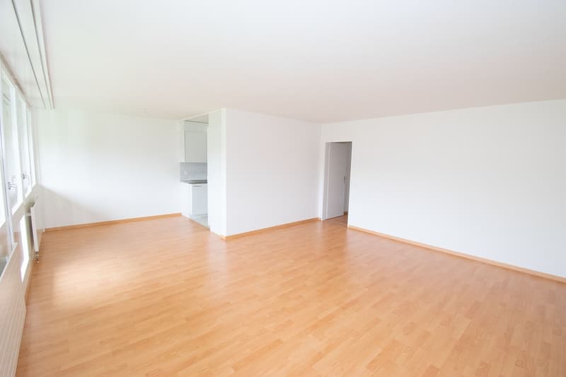 Generous at central and yet quiet location with wide green spaces (8)
