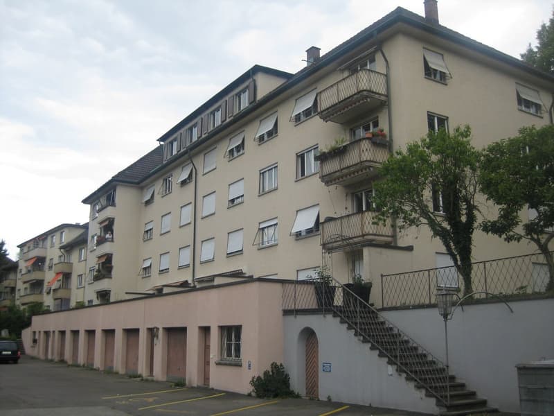 Treat yourself to a quiet life in the heart of Winterthur! (8)