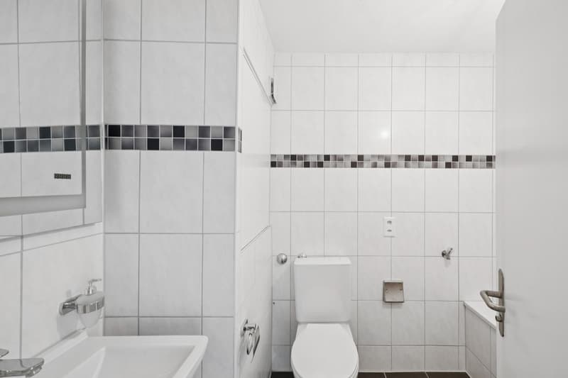 Appartement rénové de rêve (3)
