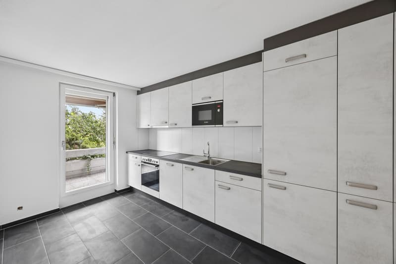 Appartement rénové de rêve (2)