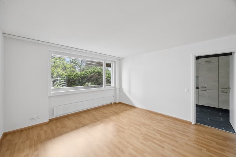 Appartement rénové de rêve (6)