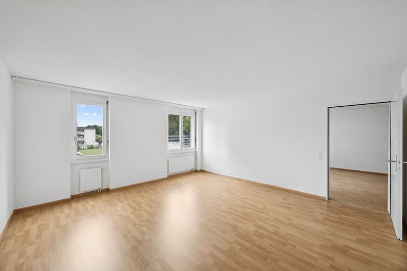 Appartement rénové de rêve (9)