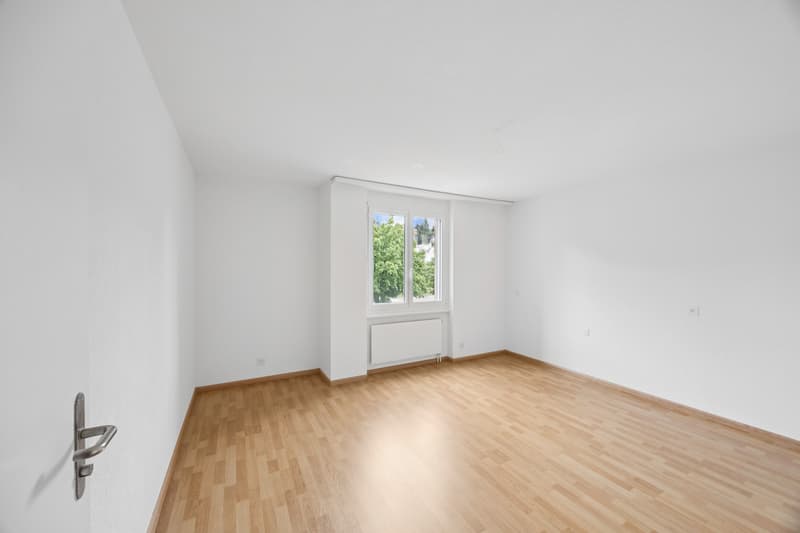 Appartement rénové de rêve (4)