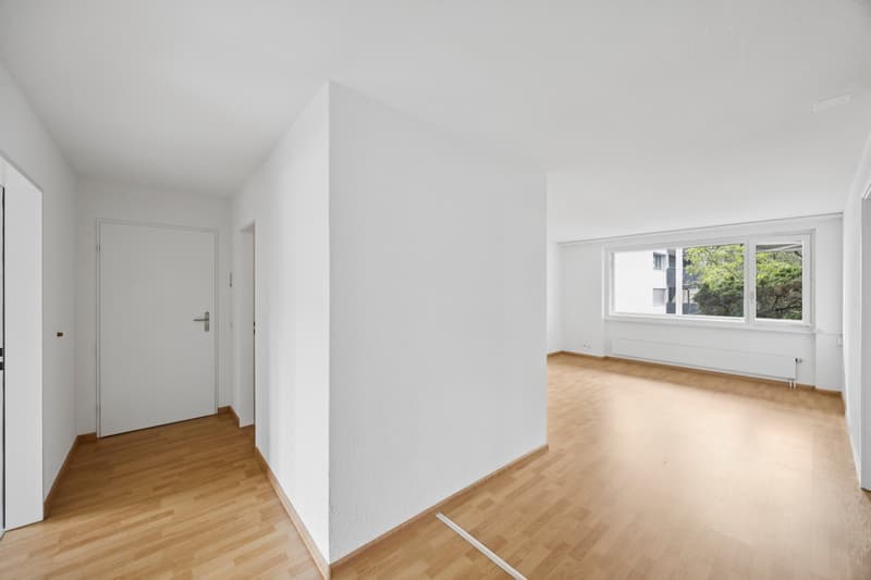 Appartement rénové de rêve (5)