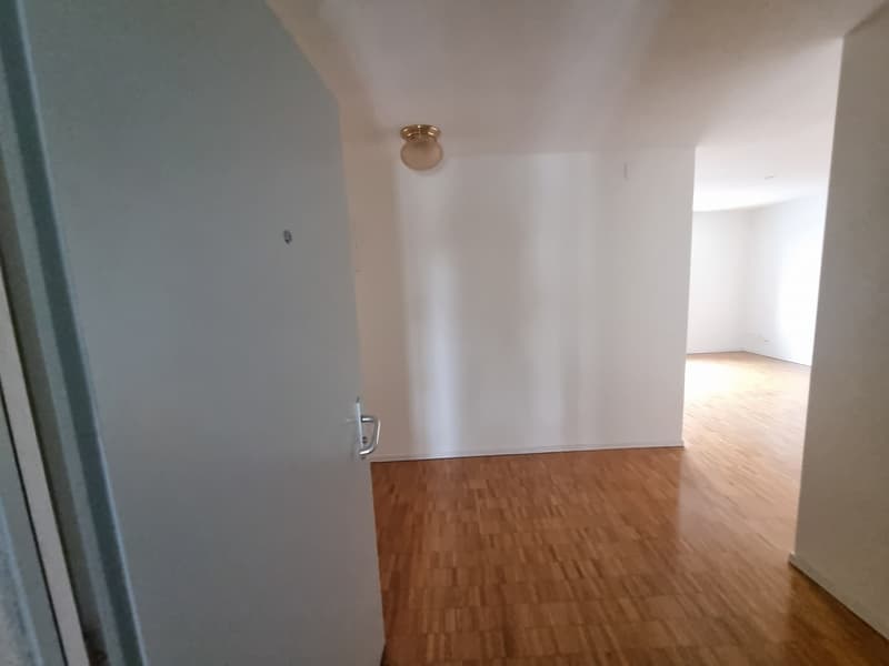 Ampio e luminoso appartamento di 2,5 locali fresco di pittura, pronto per essere occupato immediatamente (2)