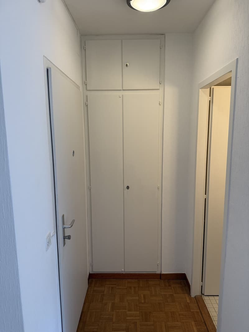 Near Chuv studio spacious with modern and renovated kitchen!!! (4)